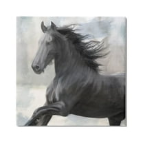 Stupell Industries Black Stallion Horse Animals & Insects Painting Gallery Wrapped Canvas Art Print Wall Art, 36 x 36