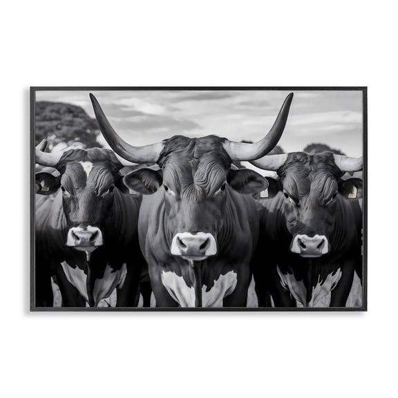 Stupell Industries Traditional Three Longhorns in a Row Black Framed Giclee Art, 18 x 12, by Creative Studio