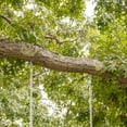 thumbnail image 7 of Bliss Outdoors Wooden Skateboard Swing W/ Handle Bars & Hanging Hardware, 200 lb. Capacity, 7 of 7