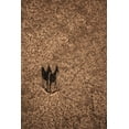 thumbnail image 2 of TIANQI 17x24 White Modern Wood Framed Museum Art Print Titled - Follow Like A Shadow, 2 of 4