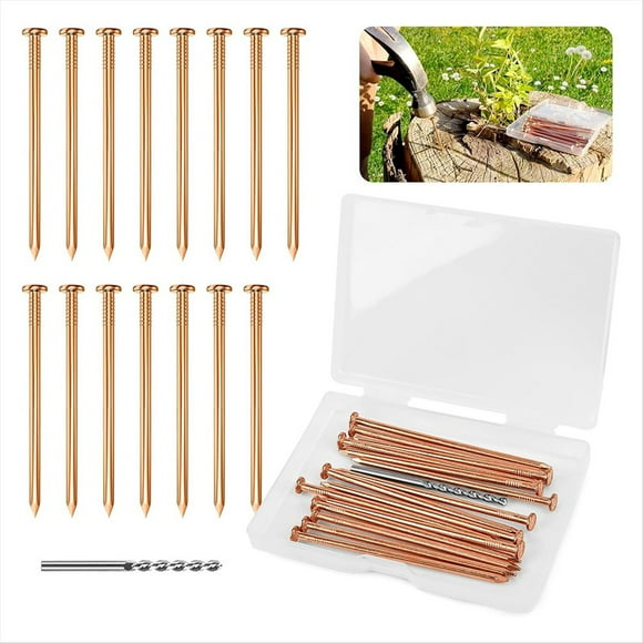 25 Clavos de Cobre para Matar Raíces de Tocones de Árboles, Clavos de Cobre de 3,15 Pulgadas con Taladro, Clavadora para Quitar Estacas de Árboles