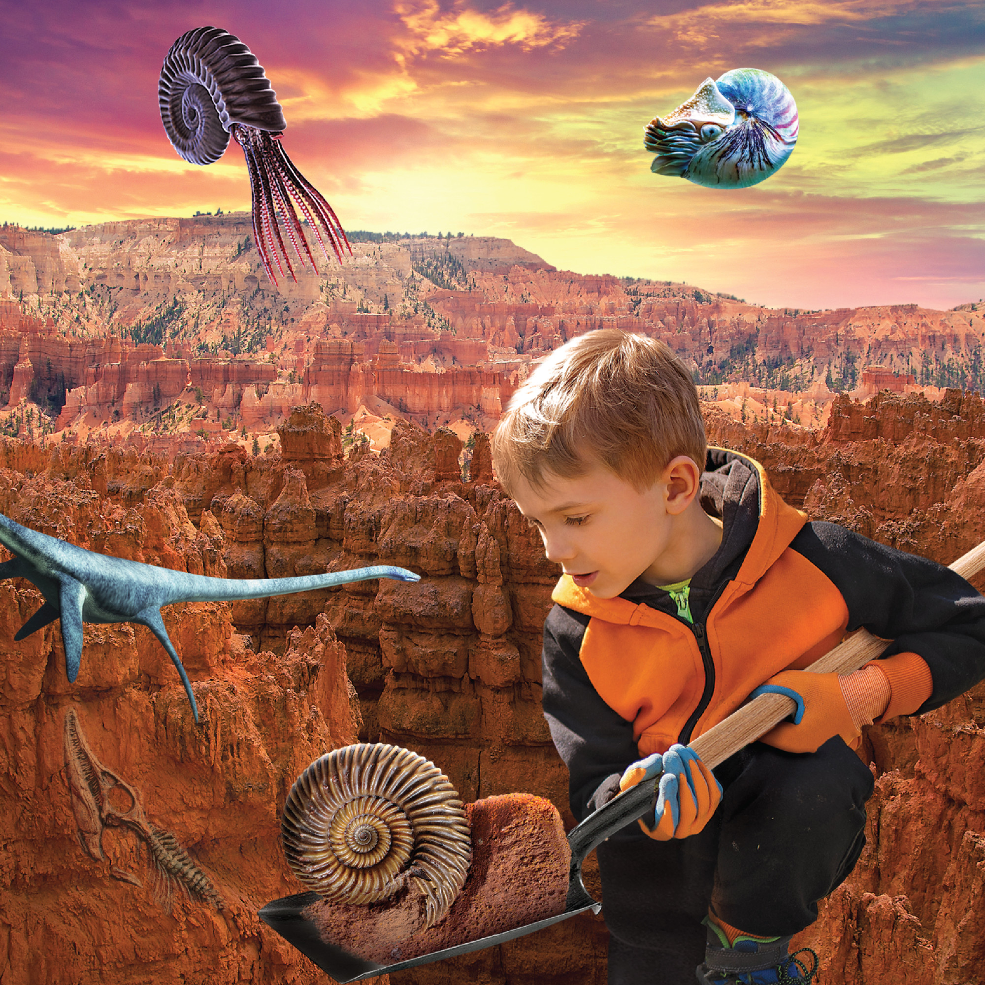 Discovery #Mindblown Colossal Fossil Dig Excavation Kit photo 7