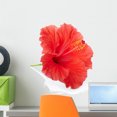 thumbnail image 1 of Red Hibiscus Flower Clipping Wall Decal by Wallmonkeys Peel and Stick Graphic (18 in H x 17 in W) WM162615, 1 of 4