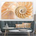 thumbnail image 1 of Motif Coquillage Nautilus Brun - Impression sur Toile Abstraite, 1 of 3