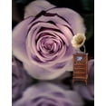 thumbnail image 1 of BSDHOME Polyester Love Flower Rose Photography Backdrops Photo Props Studio Background 5x7ft, 1 of 2