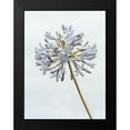 thumbnail image 2 of Frank, Assaf 19x24 Black Modern Framed Museum Art Print Titled - African Lily flower, 2 of 5