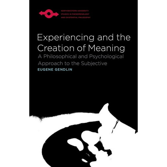 Studies in Phenomenology and Existential Experiencing and the Creation of Meaning: A Philosophical and Psychological Approach to the Subjective, (Paperback)