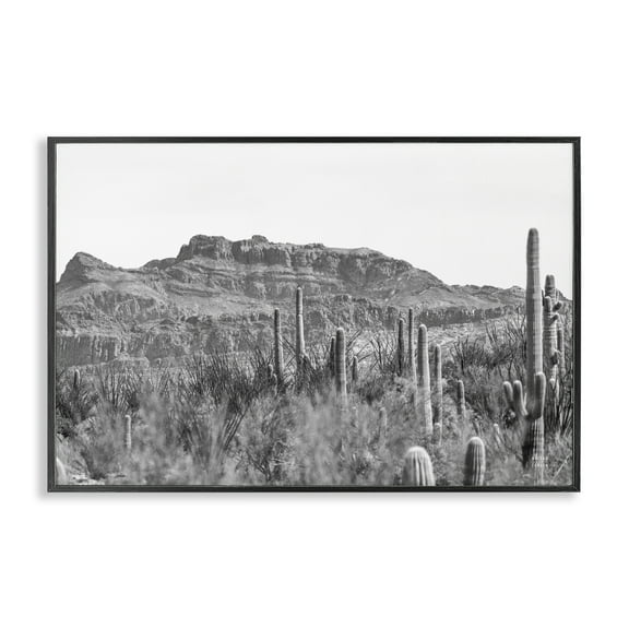 Stupell Industries American Borderlands Desertscape Landscape & Nature Photography Black Framed Art Print Wall Art, 18 x 12