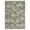 Gray Camel, variant on Hasoo Black Washable Area Rugs 5' x 7' Rug for Living Room Floral Modern Non Slip Throw Indoor Carpet