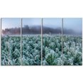 thumbnail image 2 of Champ de Chanvre Frozen en Automne Matin, 2 of 3