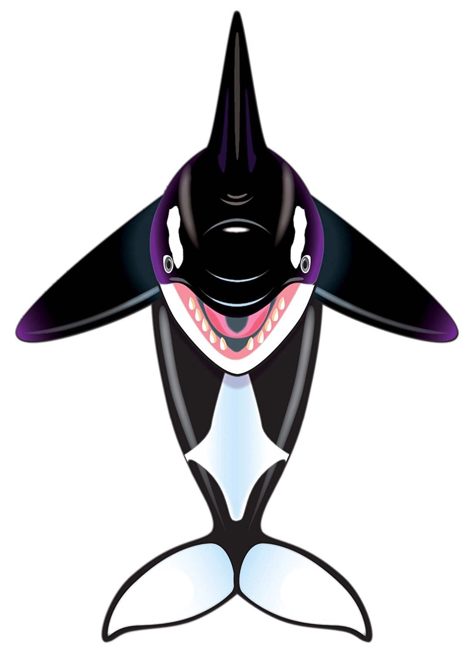 WindNSun Sealife Orca Kite DLX Ripstop Nylon Killer Whale Kite 57 Inches Tall