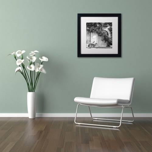 Trademark Fine Art "Tuscany VI" Canvas Art by Alan Blaustein, White Matte, Black Frame