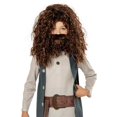 thumbnail image 3 of Harry Potter - Disfraz Hagrid Niños (Gris, Marrón), 3 of 3