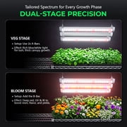 ALPHAGROW Black Grow Tent Kit, 24 x 24 x 48 in, 600D Fabric, Twin Doors, 33 W LED, and 4 in Fan Filter