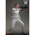 thumbnail image 4 of Figure Hot Toys MMS678 - Star Wars II : Attack Of The Clones - Padmé Amidala, 4 of 5