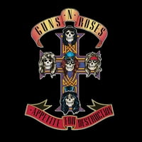 Appetite For Destruction (Vinyl)