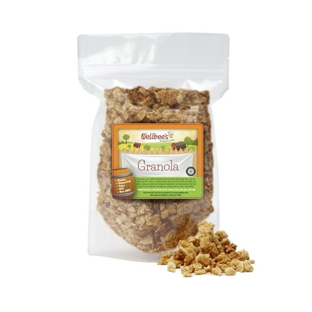 Wellbee’s Grain Free Granola, Oat Free, Low Carb, 100% Honey Sweetened, Small Batch, Refined Sugar Free, Paleo Friendly And SCD Approved (10 oz)