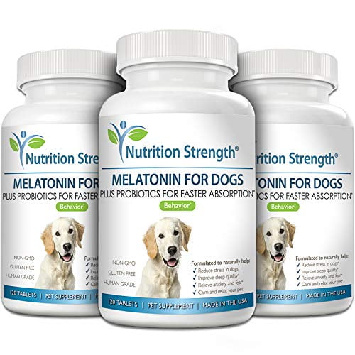 Can I Give My Dog Melatonin For Anxiety