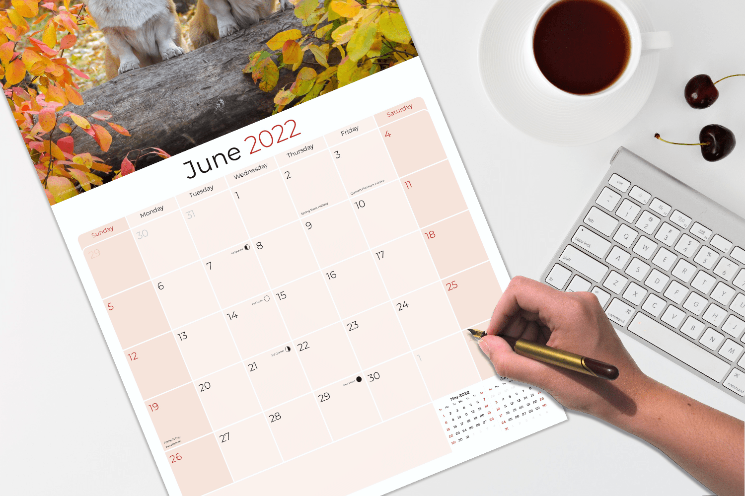 Jack Russell Calendar 2021-2022 - Dog Breed Monthly Wall Calendar - Made In  Usa - 12 X 24 (Open) - Planner Calendar For Organizing & Planning -  Walmart.com