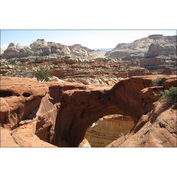 24"x36" Gallery Poster, Cassidy Arch, Capitol Reef National Park