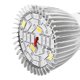thumbnail image 3 of Full Spectrum E27 Led Grow Light Growing Lamp Bulb for DIY Hydroponics Plant Flower, 3 of 5