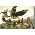 thumbnail image 1 of Ceramic Tile Mural-John Audubon Birds Painting 33. 72" w x 48" h using (24) 12 x 12 ceramic tiles, 1 of 3
