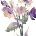 thumbnail image 3 of Dixon, Samuel 20x20 Black Modern Framed Museum Art Print Titled - Garden Blooms II, 3 of 5
