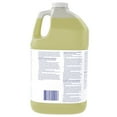 thumbnail image 5 of DIVERSEY 02853280. Food Service Sanitizer , 1 gal. Jug , Unscented ,, 5 of 5