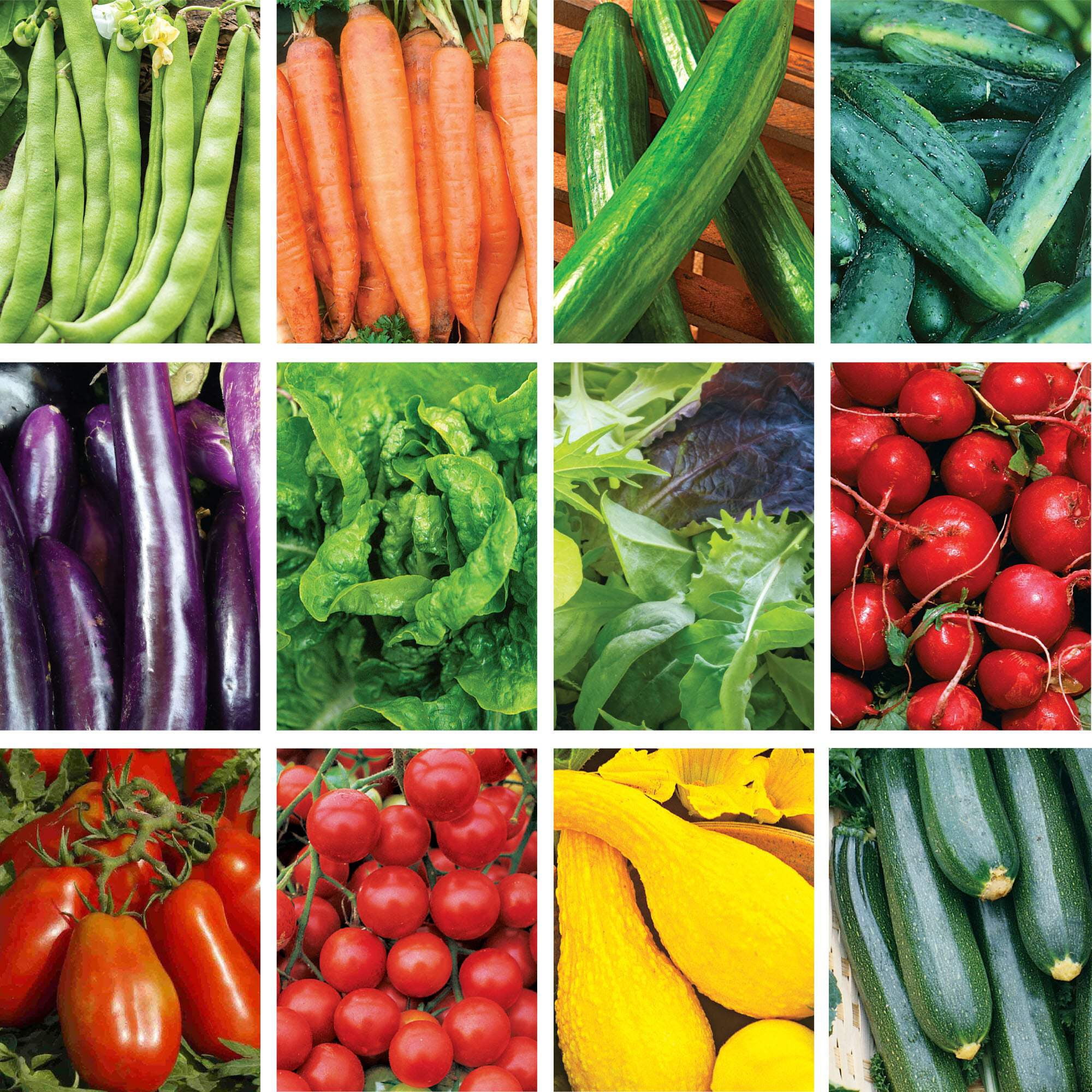 Ferry-Morse Organic Vegetable Garden Seed Variety Pack - 12 Pack