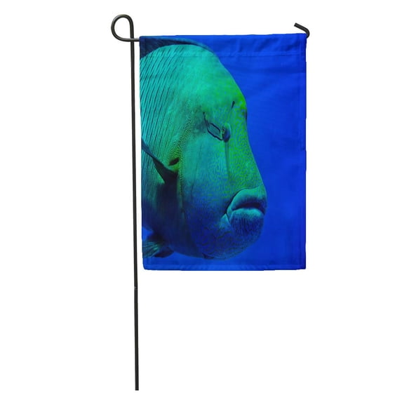 SIDONKU Colorful Butterfly Red Sea Napoleon Fish Portrait Coral Deep Tropical Garden Flag Decorative Flag House Banner 28x40 inch