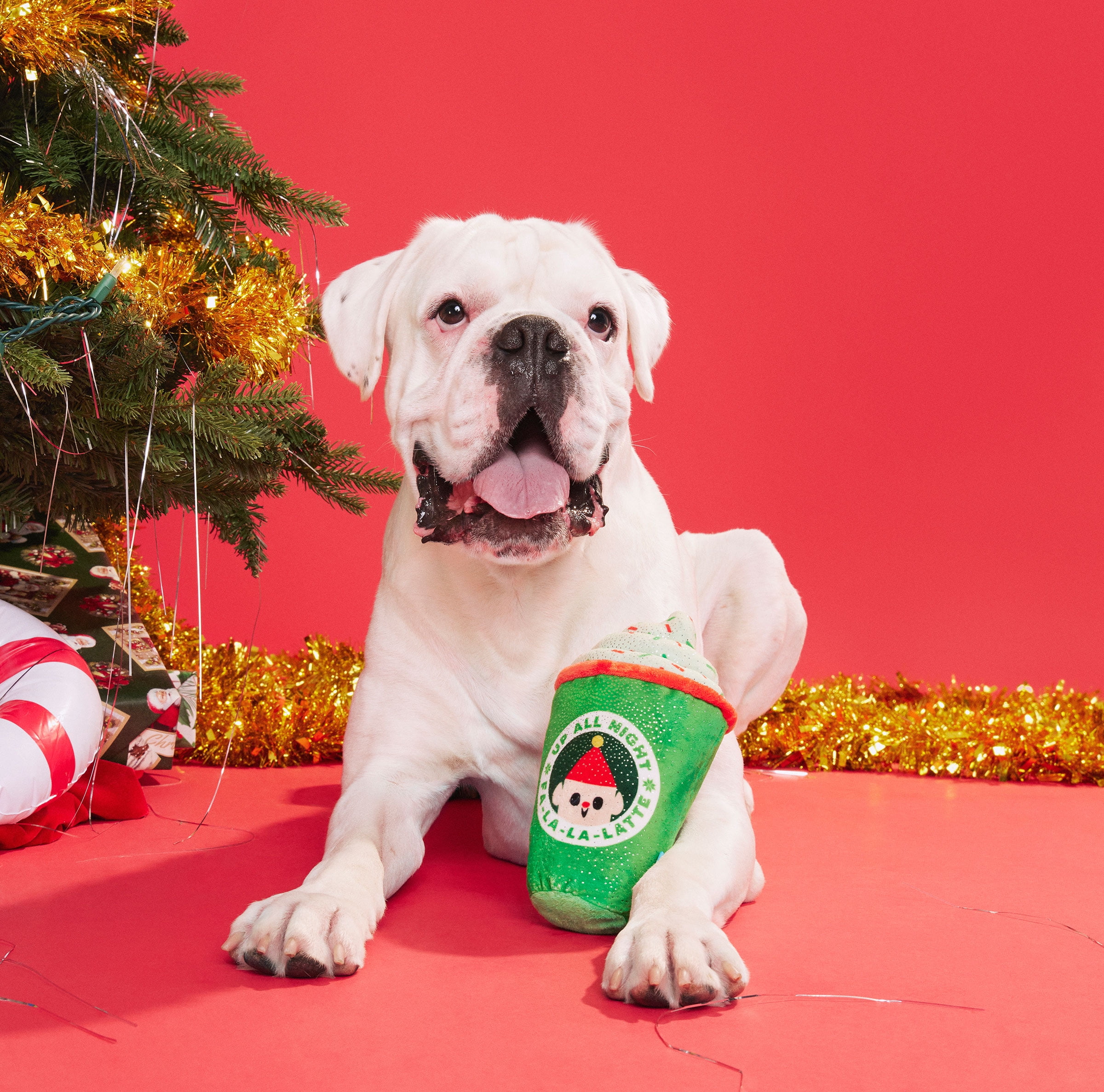 BARK Up All Night Latte Plush Dog Toy