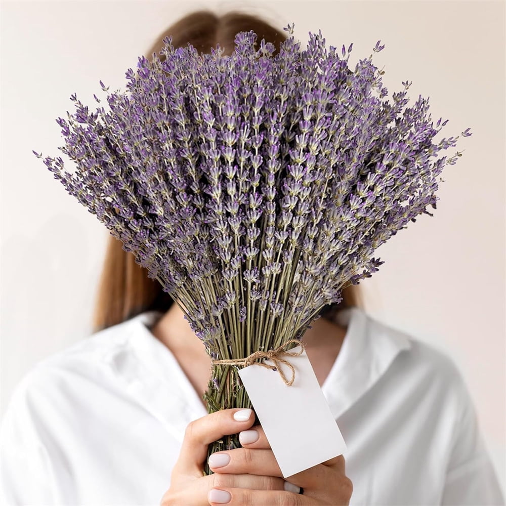 2 Pack Pure Natural Dried Lavender Flowers,Dried Flower Bundles for DIY Craft,Perfect Gift for Girls Women,Real Dried Lavender Bouquet,for Farmhouse Garden Home Decor