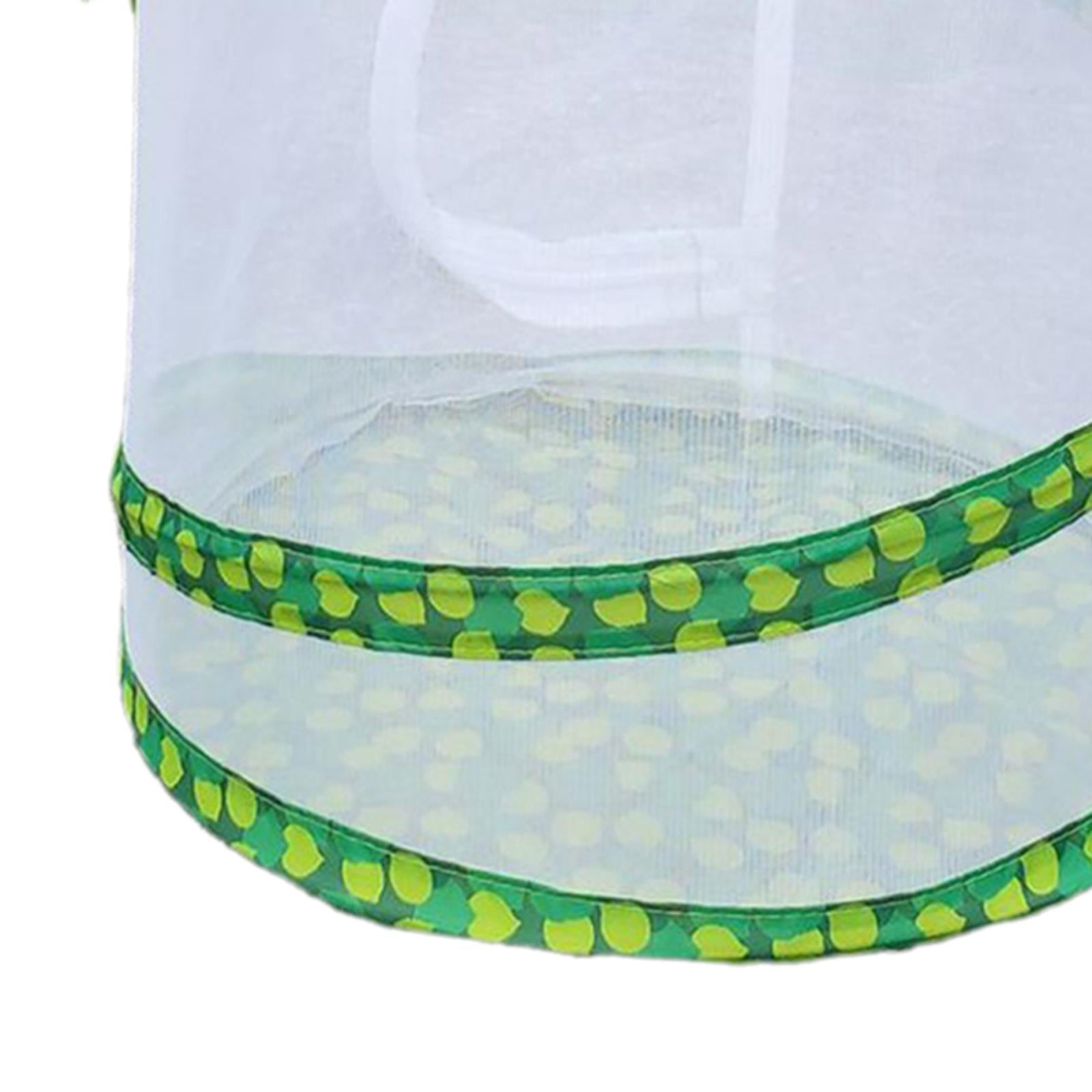 Cage à chenilles | Kit de chenilles pour papillons, enclos de cage pour collecte d'intérieur/extérieur, gardien de créatures, 24 x 25 x 25 cm Skoulazeo