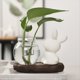thumbnail image 5 of B Florero Hidropónico de Conejo de , Arreglo de Flores de Vidrio Transparente, Macetas para Plantas, Maceta para Decoración del Hogar, 5 of 5
