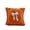 Ginger, variant on XHKUYI Fall Pumpkin Pillow Covers 18x18 inch, Pumpkin Embroidered Throw Pillow Covers with Bow, Fuzzy Cushion Covers for Halloween Farmhouse Couch Sofa Bed Decor