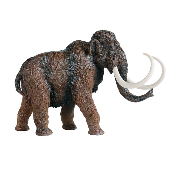 1pc Children Animal Model Toy Educational Plaything Desktop Adornment Prop
