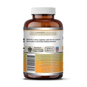 Amazing Formulas Mastic Gum 1000 mg Per Serving 120 Capsules Supplement | Non-GMO | Gluten Free