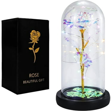 OwnShow Enchanted Valentine's Day Rose Flowers Gift, Colorful-Romantic Artificial Light Up Rose in Glass Dome for Anniversary Christmas