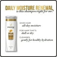 thumbnail image 3 of Pantene Pro-V Daily Moisture Renewal Shampoo, 12.6 Oz, 3 of 4