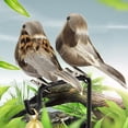 thumbnail image 3 of 12Pcs Artificial Animal Bird Spadger Sparrow with Clip Home Garden Tree Ornament, 3 of 8