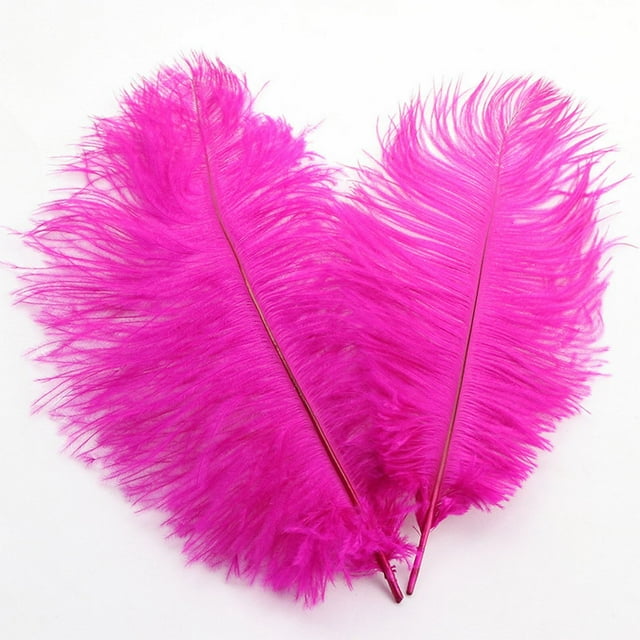 Ostrich Feather 30-35Cm Color Feather Decoration 8# Rose Red C Feather (1*Feather)