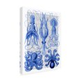 thumbnail image 2 of Trademark Fine Art 'Octopus And Squid, Blue' Canvas Art by Fab Funky, 2 of 3