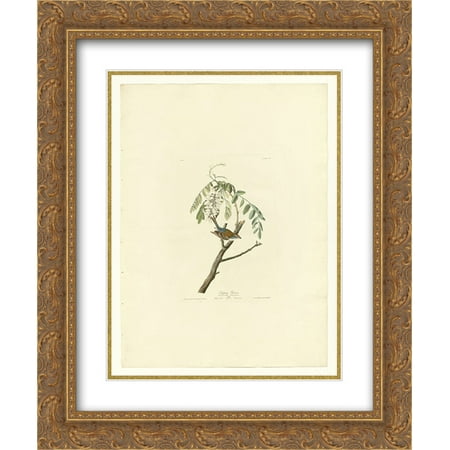 104 Matt - John James Audubon 2x Matted 20x24 Gold Ornate Framed Art Print 'Plate 104 Chipping Sparrow'