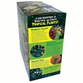 thumbnail image 5 of Toys By Nature: Tropical Rainforest Jungle - DIY Biosphere Terrarium Kit, Grow A Mini Plant Jungle, Golden Treasure & Animal Figure, Adults-Kids 4+, 5 of 8