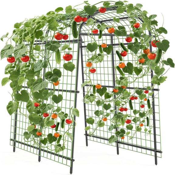 7.5FT Extra Tall Garden Arch Trellis, Polyethylene-Coated Stainless Steel Arbor for Climbing Plants, Vegetables & Flowers, Outdoor Pergola for Cucumber, Rose, Wedding & Party Decoration