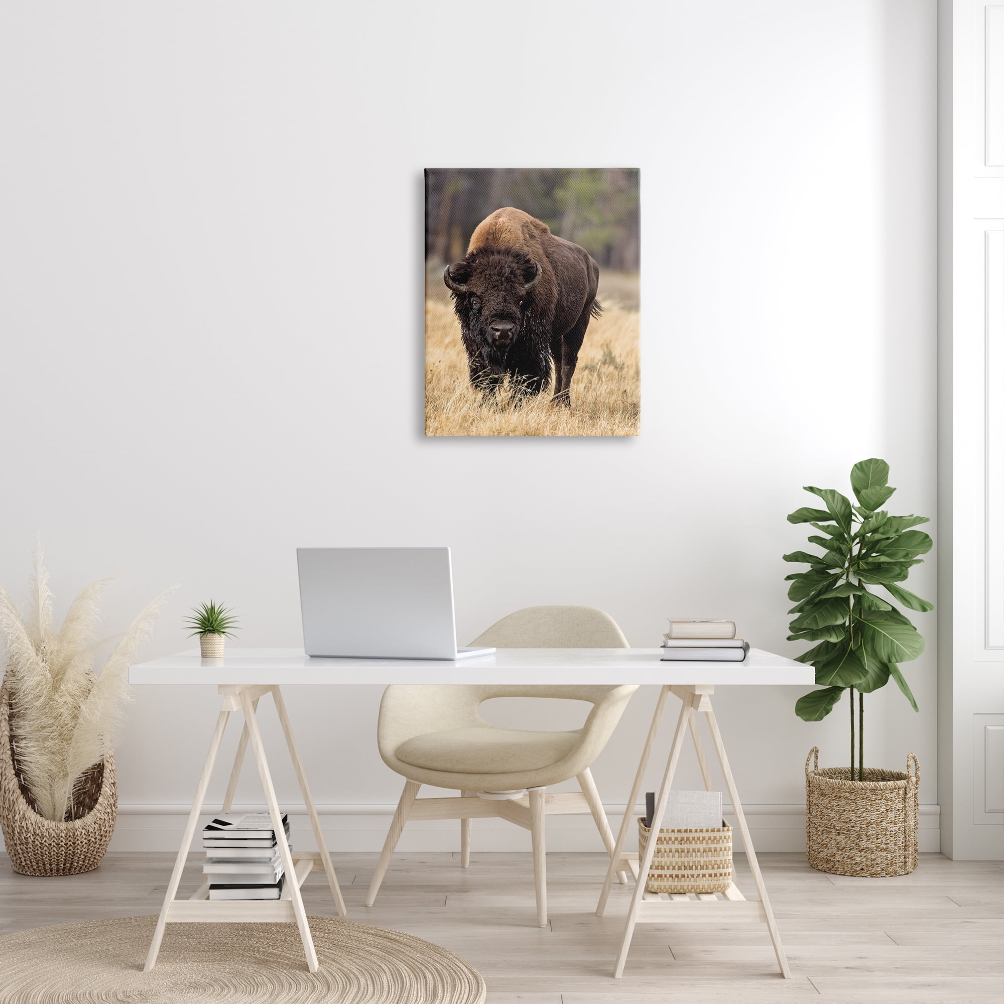 Stupell Industries Wild American Bison Grazing Rustic Tall Grass, 24 x 30, Designed by Larry McFerrin