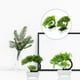 thumbnail image 5 of 2 uds decoración de bonsái Artificial árbol pequeño en maceta adorno de planta en maceta decoración del hogar, 5 of 5