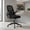 Black, variant on Spaco Ergonomic Computer Desk Chair - Lumbar Support Contoured Back, Flip-up Arms, Breathable Mesh, Black