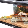 thumbnail image 4 of COMPLETE Uromastyx Setup - Deluxe - With Tank, 4 of 4