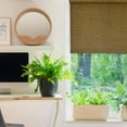 thumbnail image 6 of Versailles - Cordless Roller Shade, Marcellus Collection, Soft Close, 48" x 72", Brown, 6 of 6